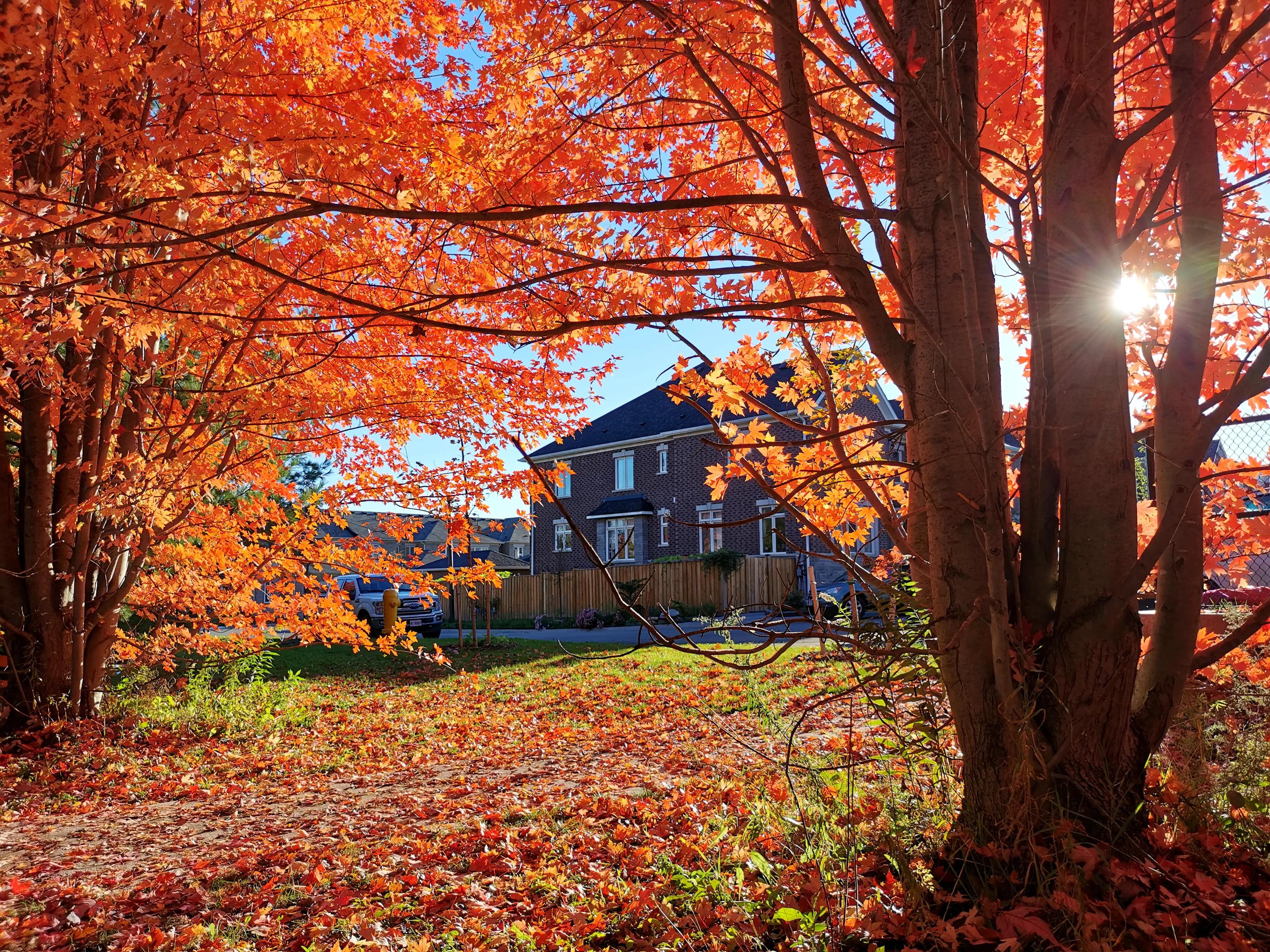 手拍世界（手机摄影平台）-群员作品集（总第733期）