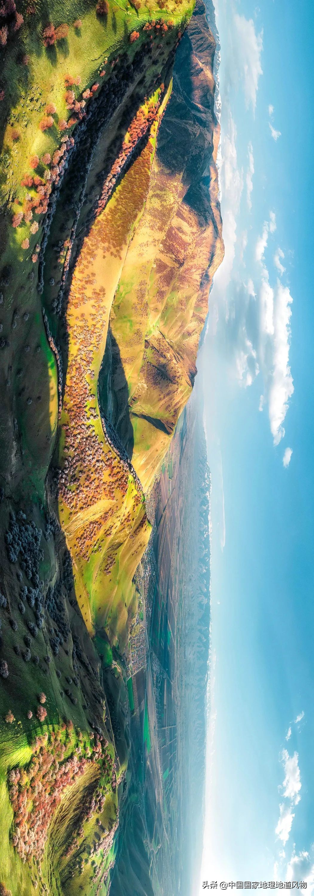 小白杏、大接杏、水蜜杏......中国到底哪里的杏子最好吃？