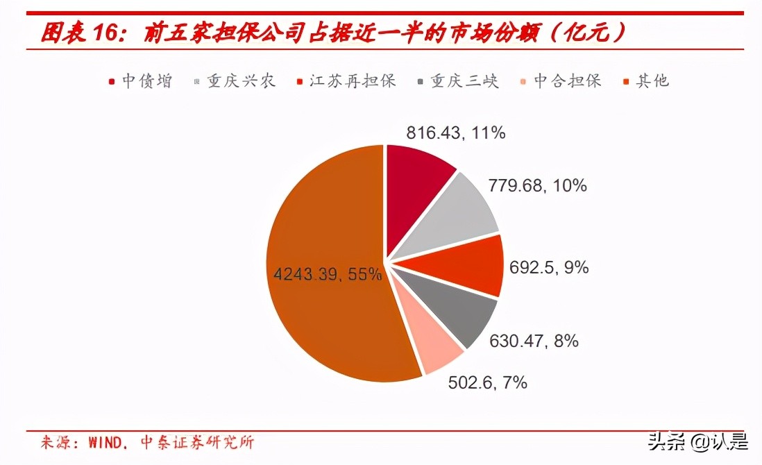 固定收益专题报告：担保公司面面观