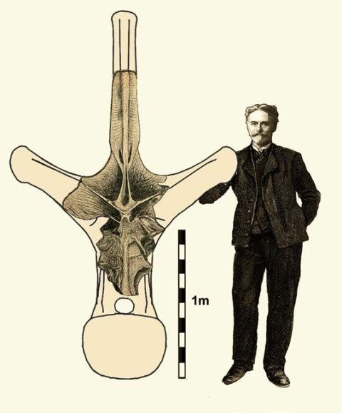 地球上至今还活着的最大生物是什么？无法遏制，它仍在不断狂长