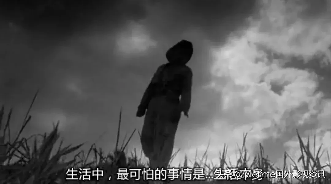 推荐10部高分冷门电影:这么好看的电影,怎么还能是冷门?