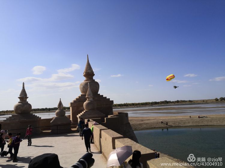 2019西北行｜胡杨：生而千年不死，死而千年不倒，倒而千年不朽