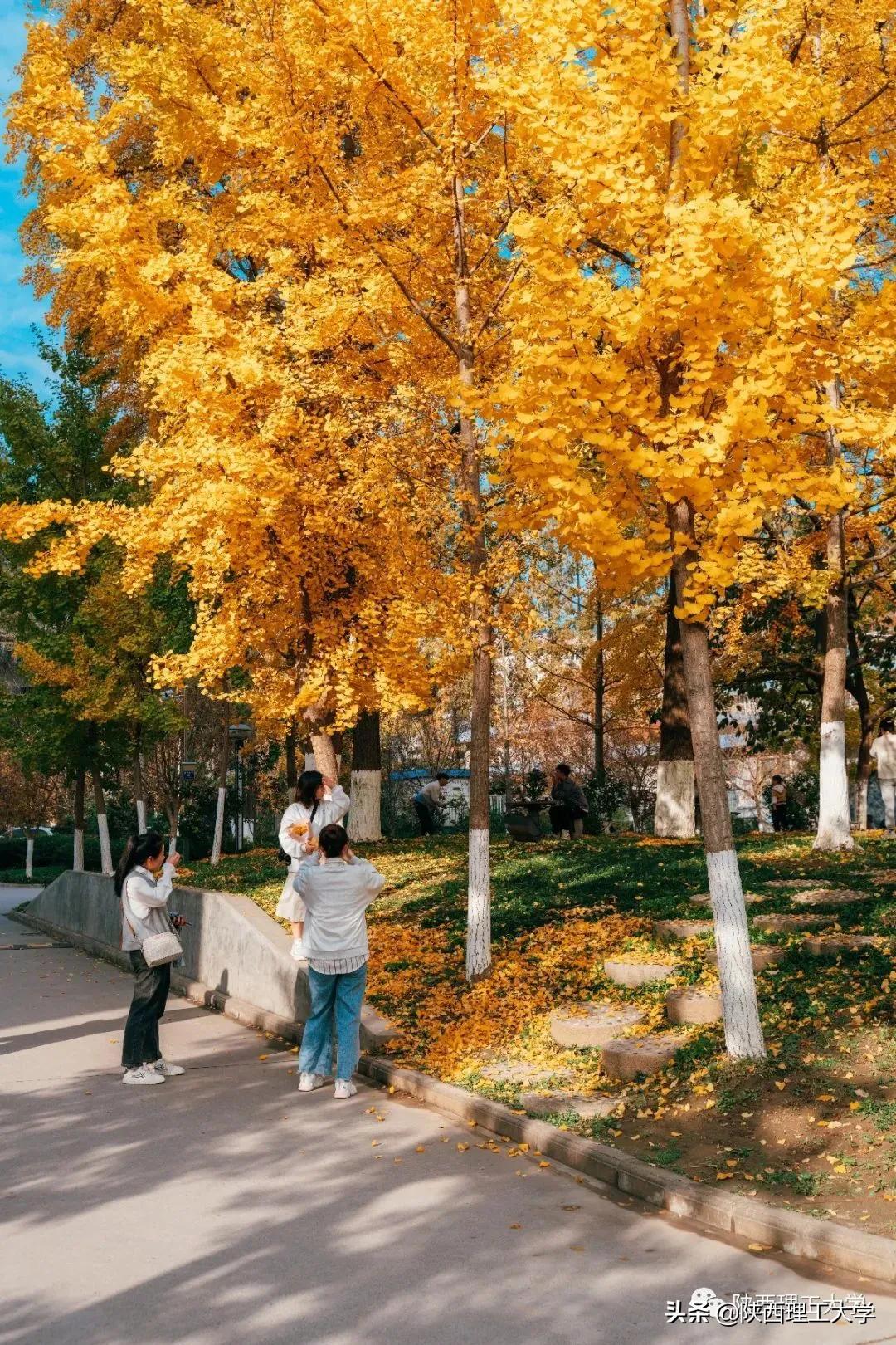 夕阳西下，带你抓住秋天的尾巴