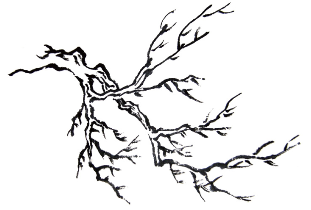 写意山水基础教程｜树枝的画法详解