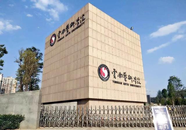云南艺术学院官网（云南艺术学院发布2020年本科录取分数线）