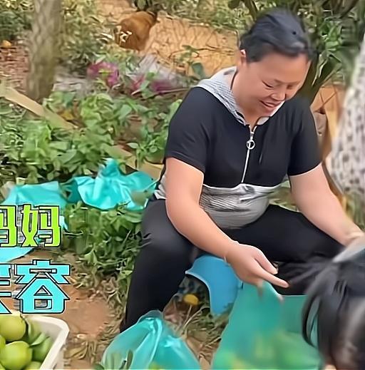 全红婵1家4口干活曝光！妹妹弟弟很忙，妈妈开心笑了老爸端坐休息