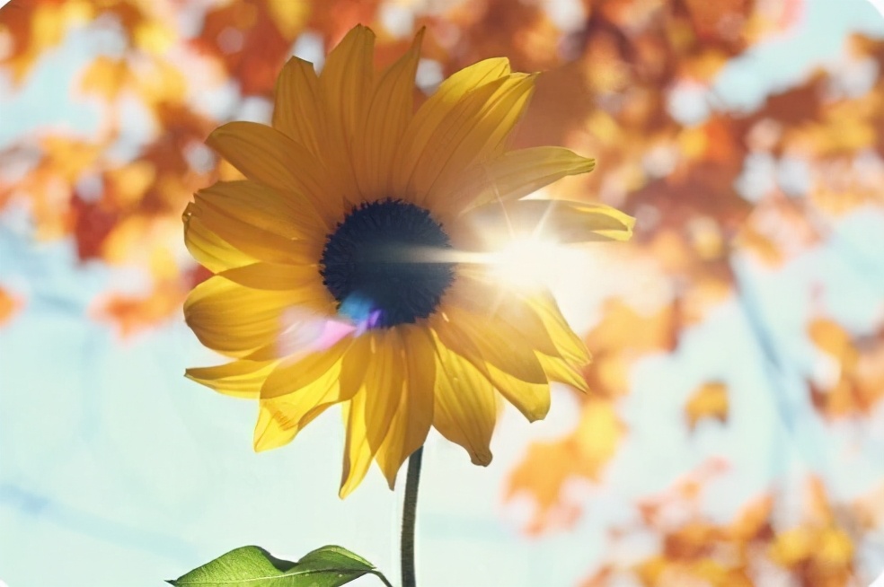 积极向上的阳光句子:只要路是对的,就不怕路远