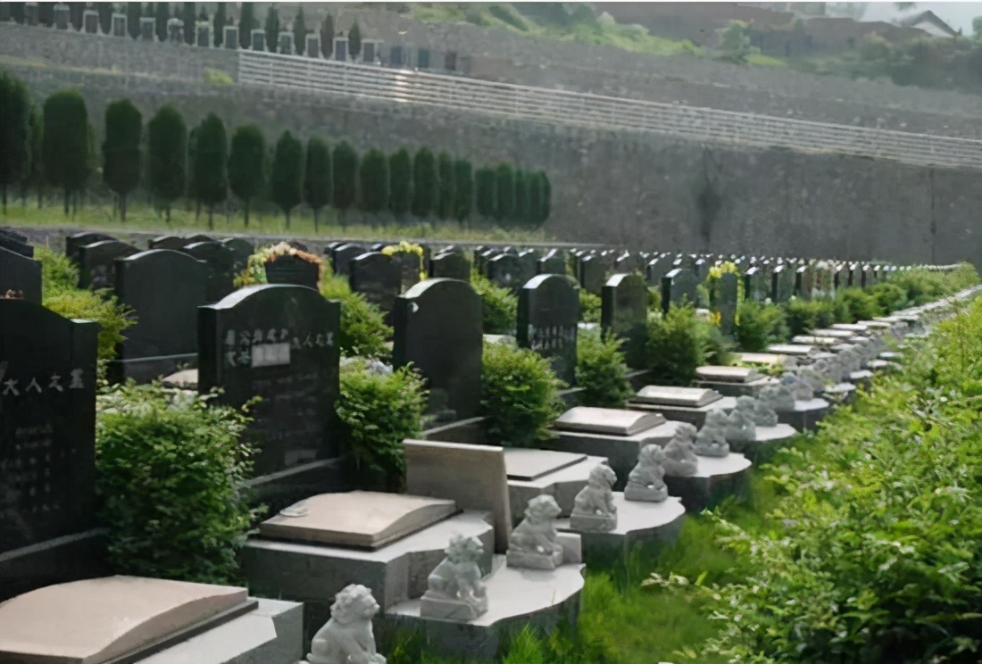 20年一交费，墓地使用年限如何界定，民政部答复