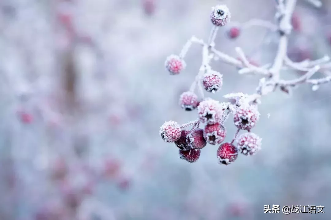 让阅卷老师叫绝的中考情景作文：手机响了