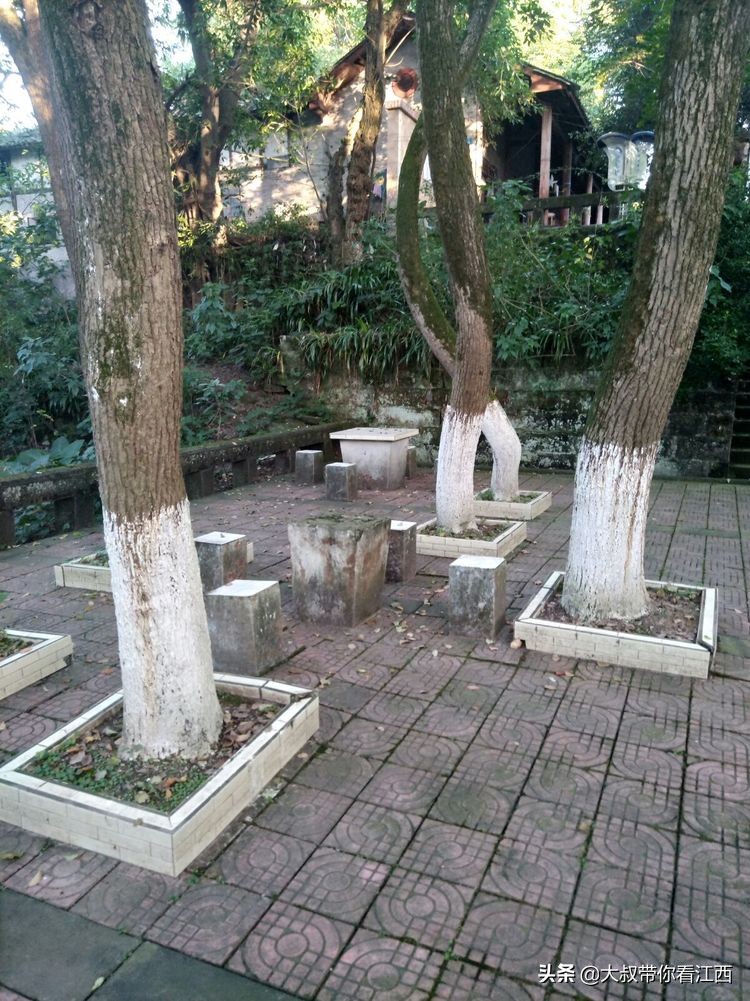 为逝去的记忆——重庆市合川师范学校掠影