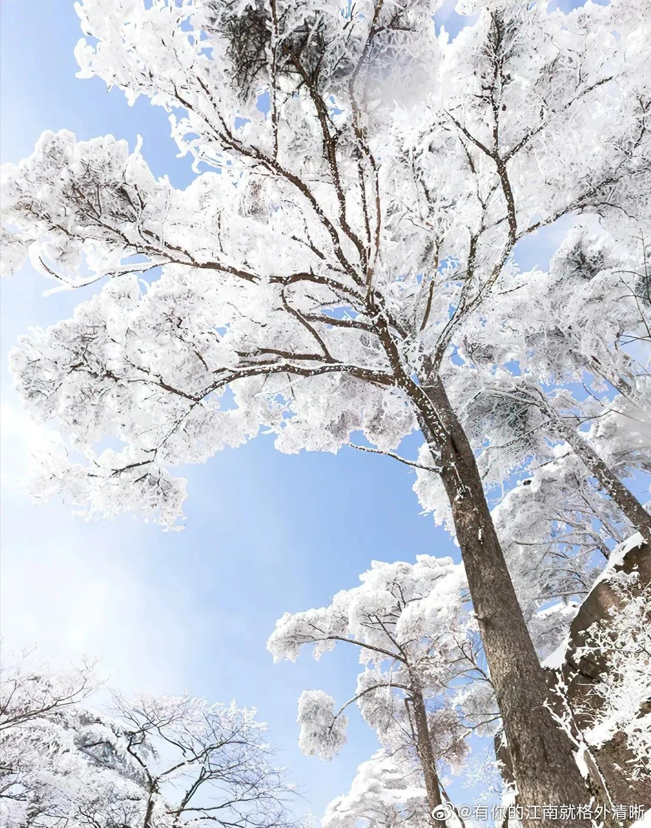 登黄山，天下无山：晓破日出，天光乍现，“美”自此有了它的归宿