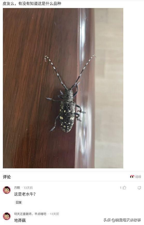 神回复：拔一颗牙要1200，凭什么这么贵？看到牙我明白了