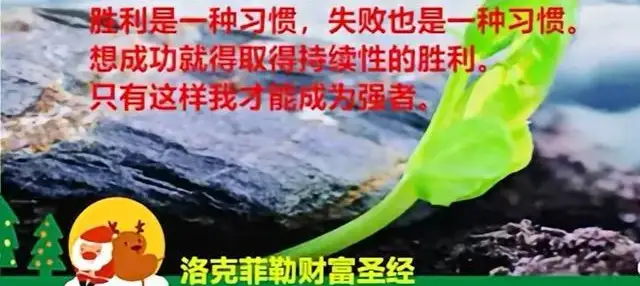 新概念英语全套单词全析全解全集(7)第2册4课