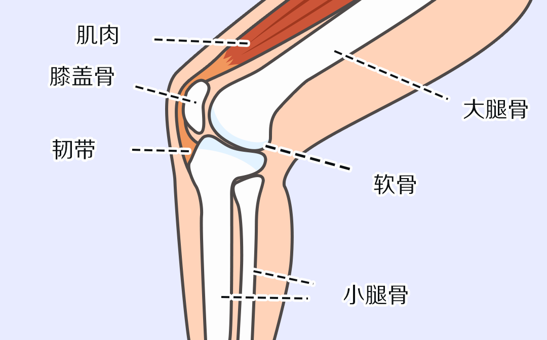 膝盖疼是怎么回事？这些原因不容忽视