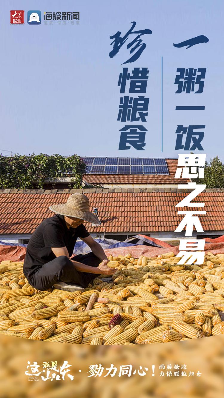这就是山东丨勠力同心！雨后抢收力保颗粒归仓