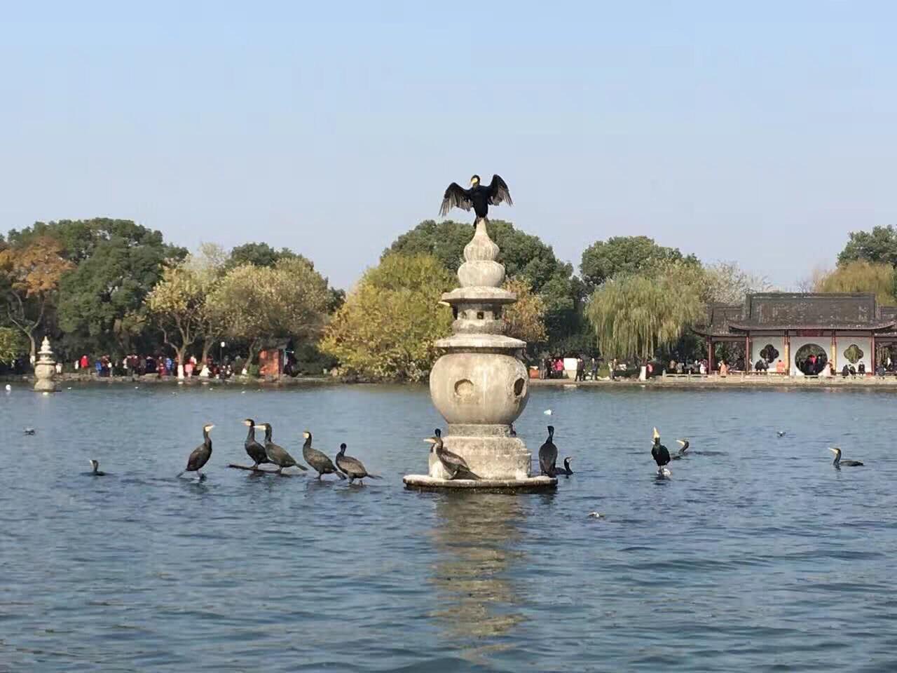 三潭印月 / 石塔间距为何是62米