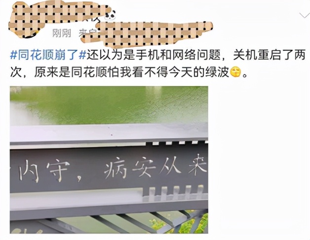 同花顺APP出现异常(同花顺数据异常怎么回事)