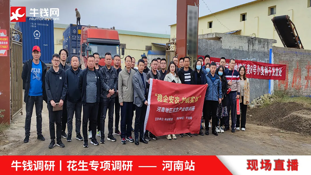 牛钱调研丨河南花生专项调研第一天
