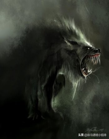 给麻瓜的《神奇动物百科》，魔法世界的动物到底有多神奇（长文）