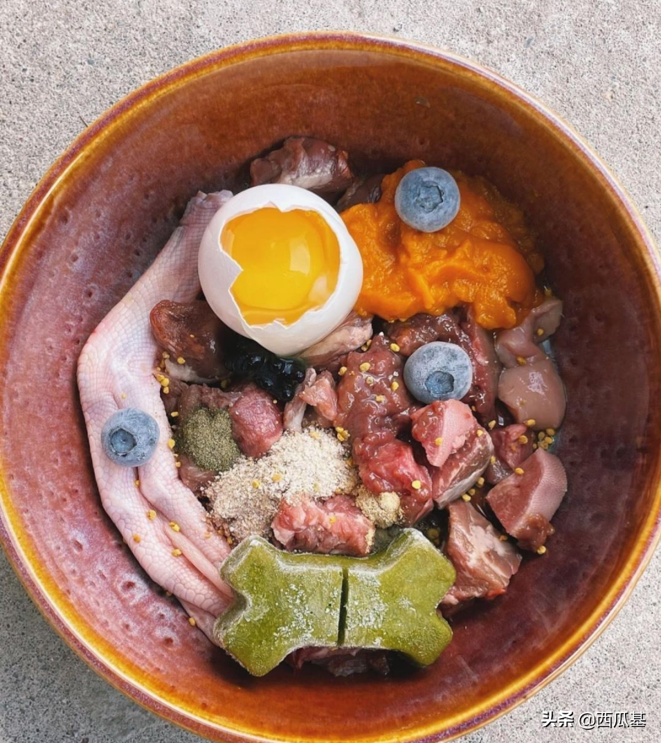 狗狗能吃馒头吗（10种食物能充当营养添加剂放心喂狗狗）