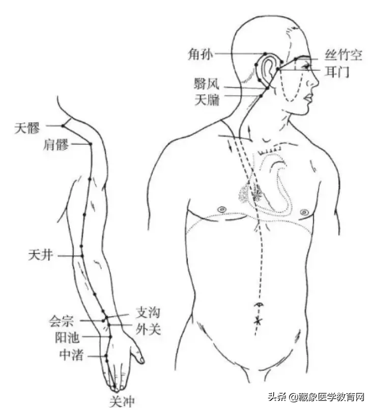 你了解经脉吗？十二经脉的位置、走向规律、交接规律及分布规律