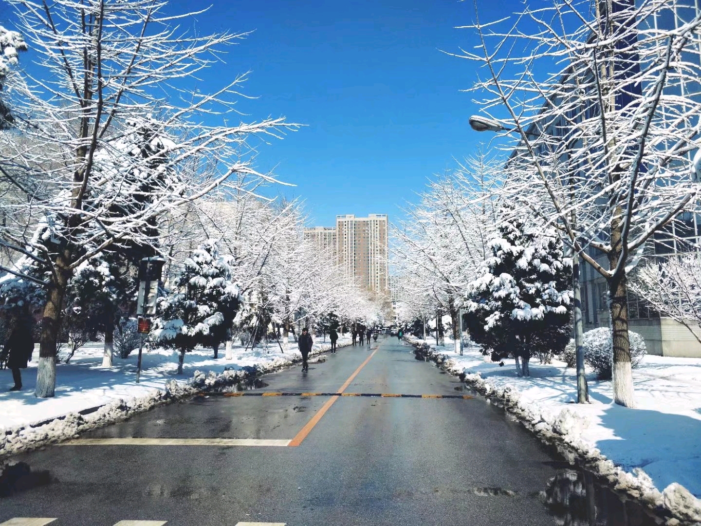 辽宁这3所知名高校十分低调，录取分数线不高，就业率很高