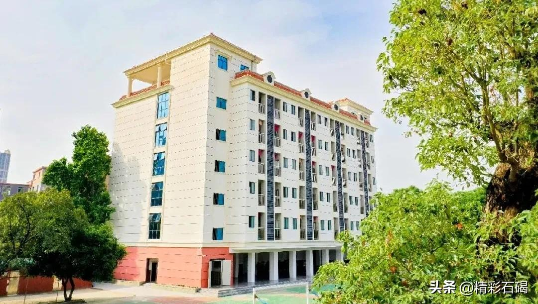 石碣四海学校2021年秋季学期招生简章来了~