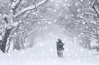 走进冬天，相遇一场雪花的美「散文」