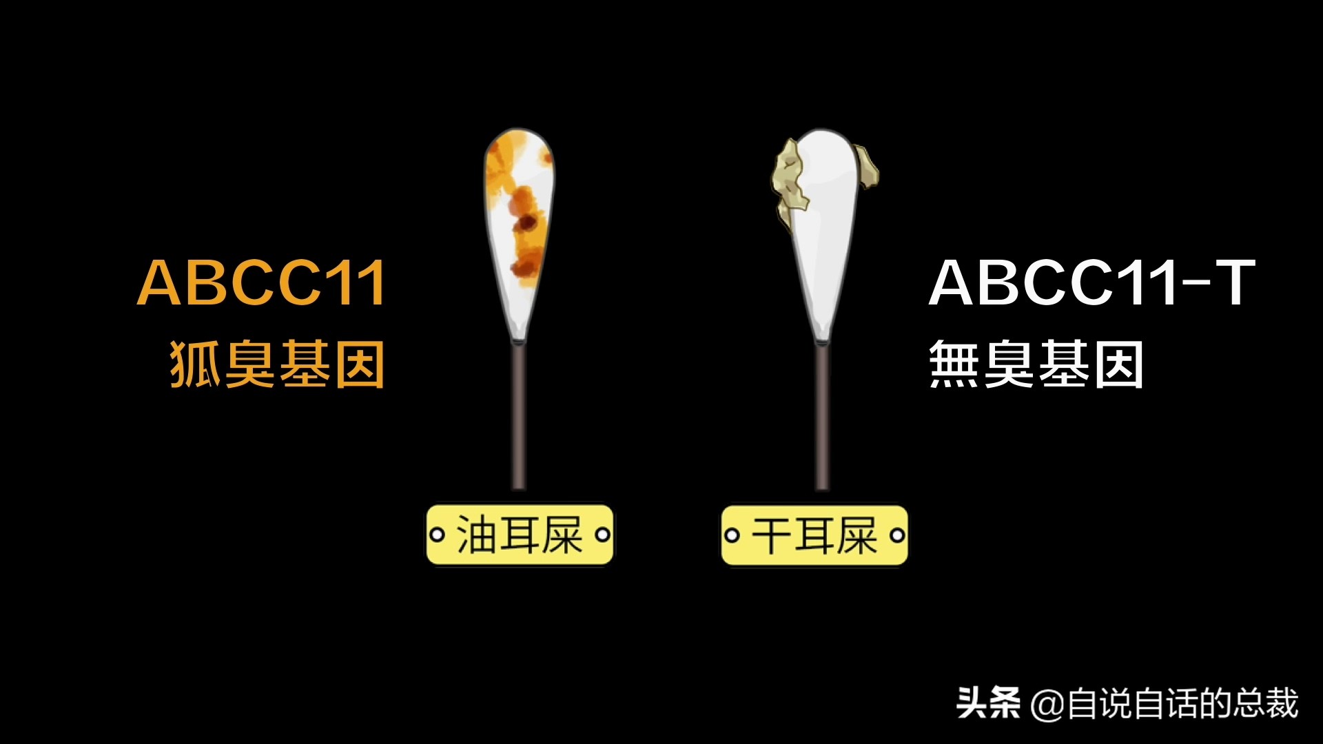 当你爆发过敏性鼻炎时，这就是你体内发生的故事