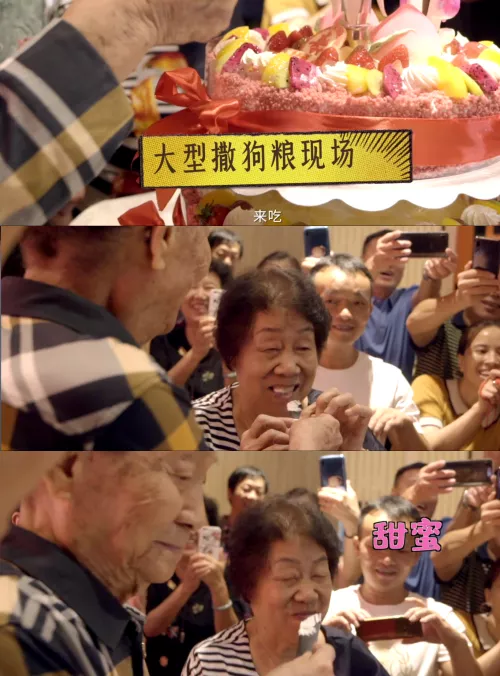夫人坐轮椅泪别袁隆平:那个宠了她一辈子的人,永远地走了!