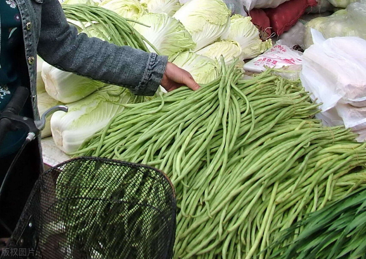 一棵白菜10元，谁受益谁买单？菜价飞涨都怪二道贩子？别误解了