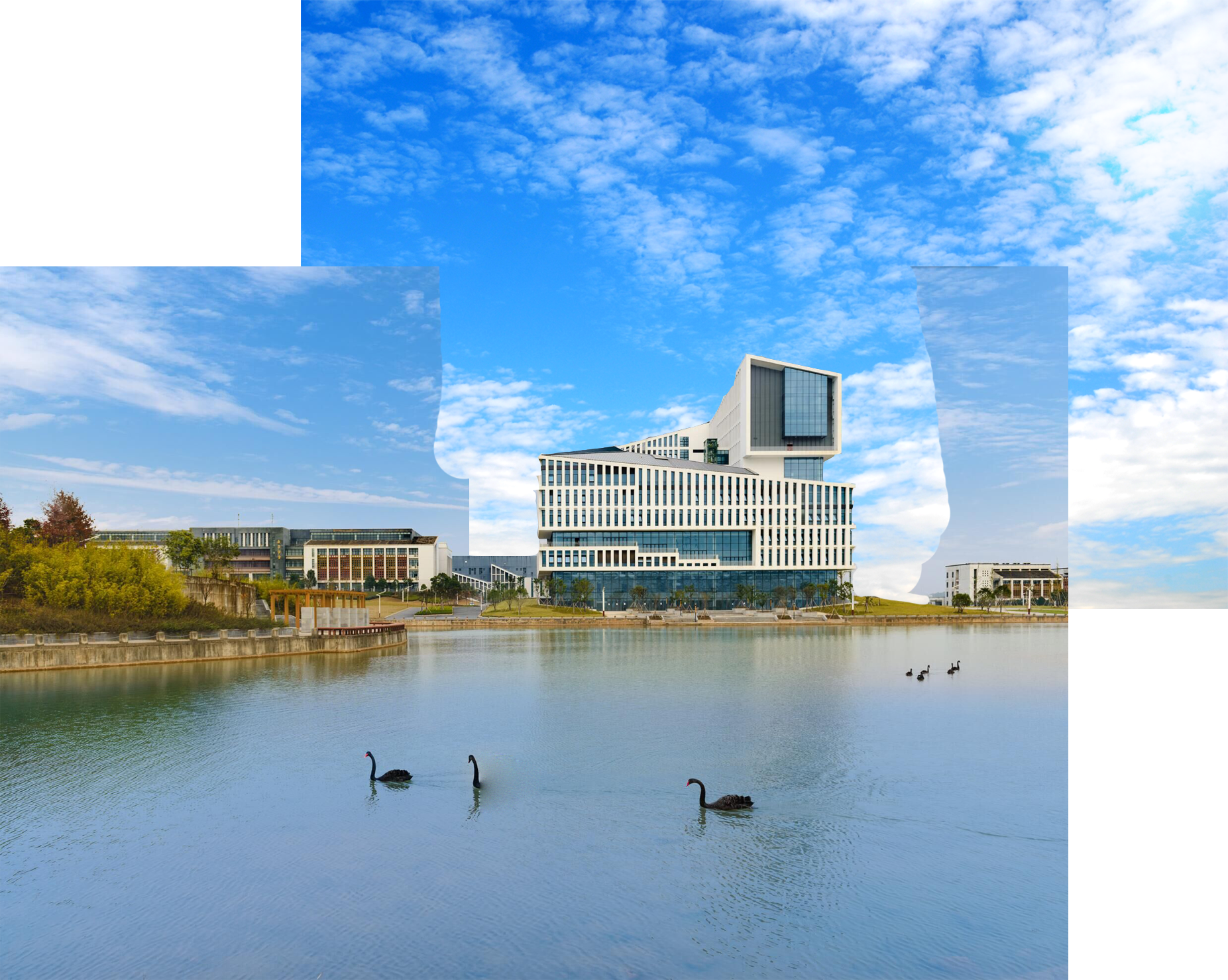 宣城的大学（高考志愿填报）