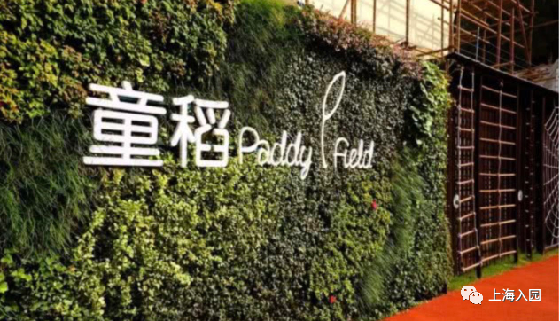 上海这个区近50%的幼儿园全市招生！竟然没有三级园