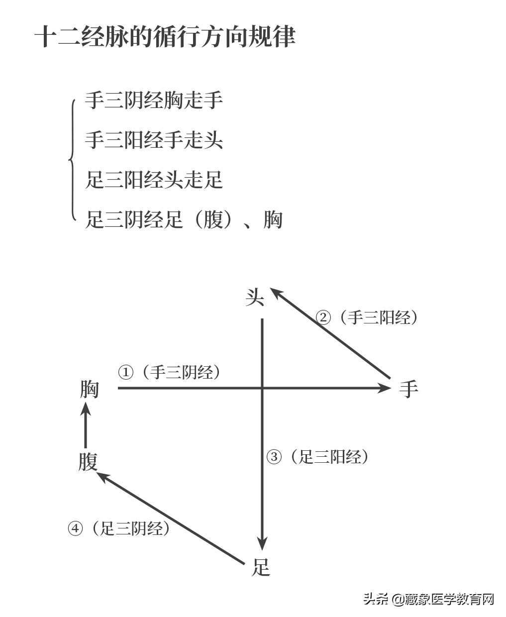 你了解经脉吗？十二经脉的位置、走向规律、交接规律及分布规律