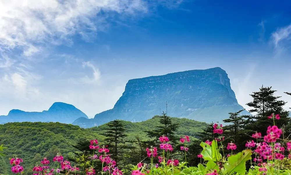不收门票的世界级风景！赏万亩夏花、观云海日出…成都2天耍来回