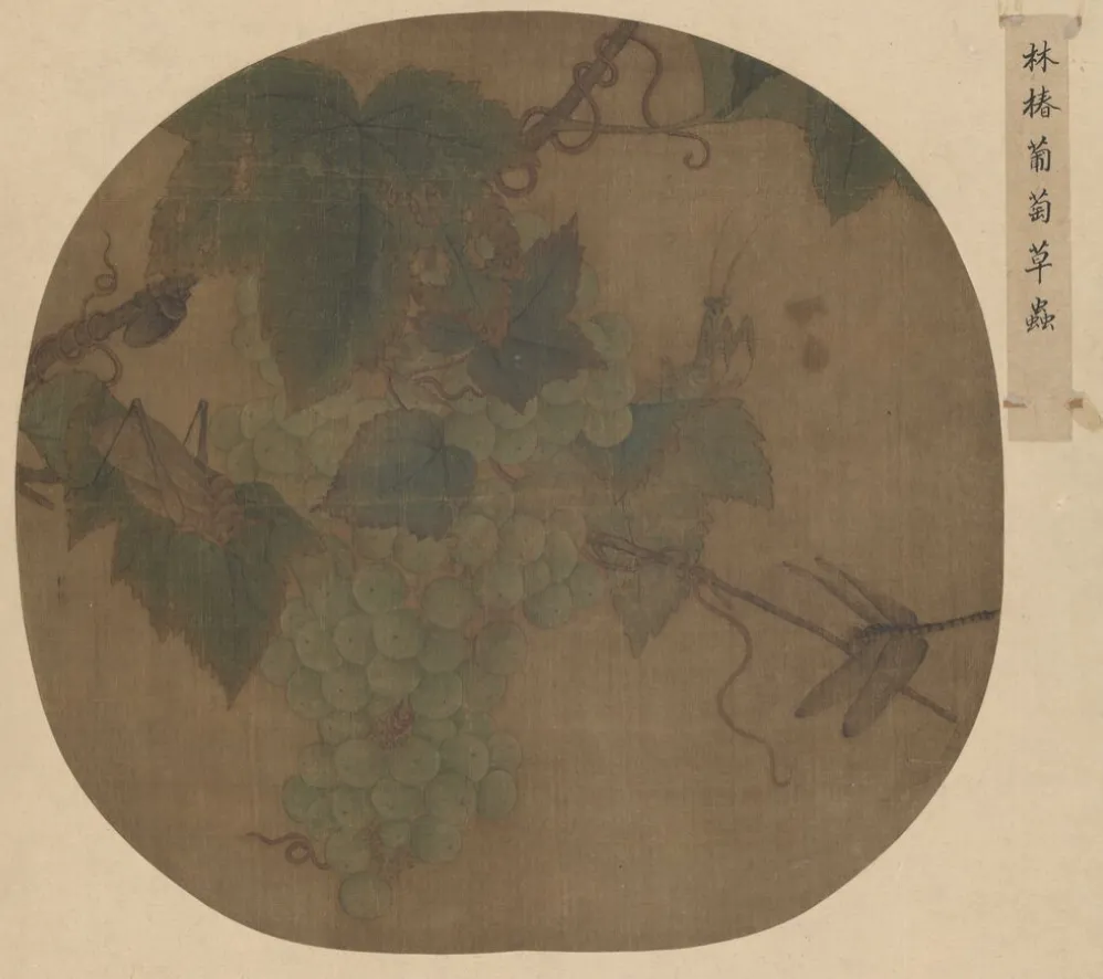 桃子的寓意和象征是什么（古代舌尖上的水果味）