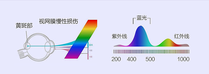 眼镜框架什么材质好，网上眼镜选购指南？