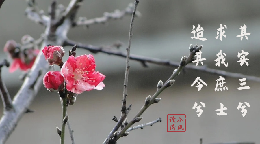 诗经中“剩女”的盼嫁之路