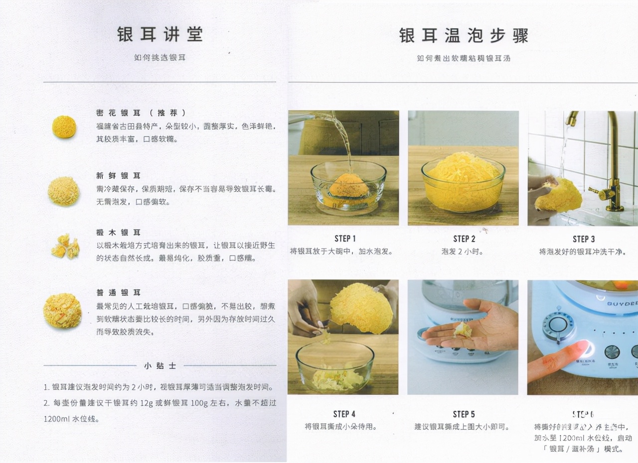 新晋家庭营养师，燕窝汤粥炖煮全能，可用10年不退役
