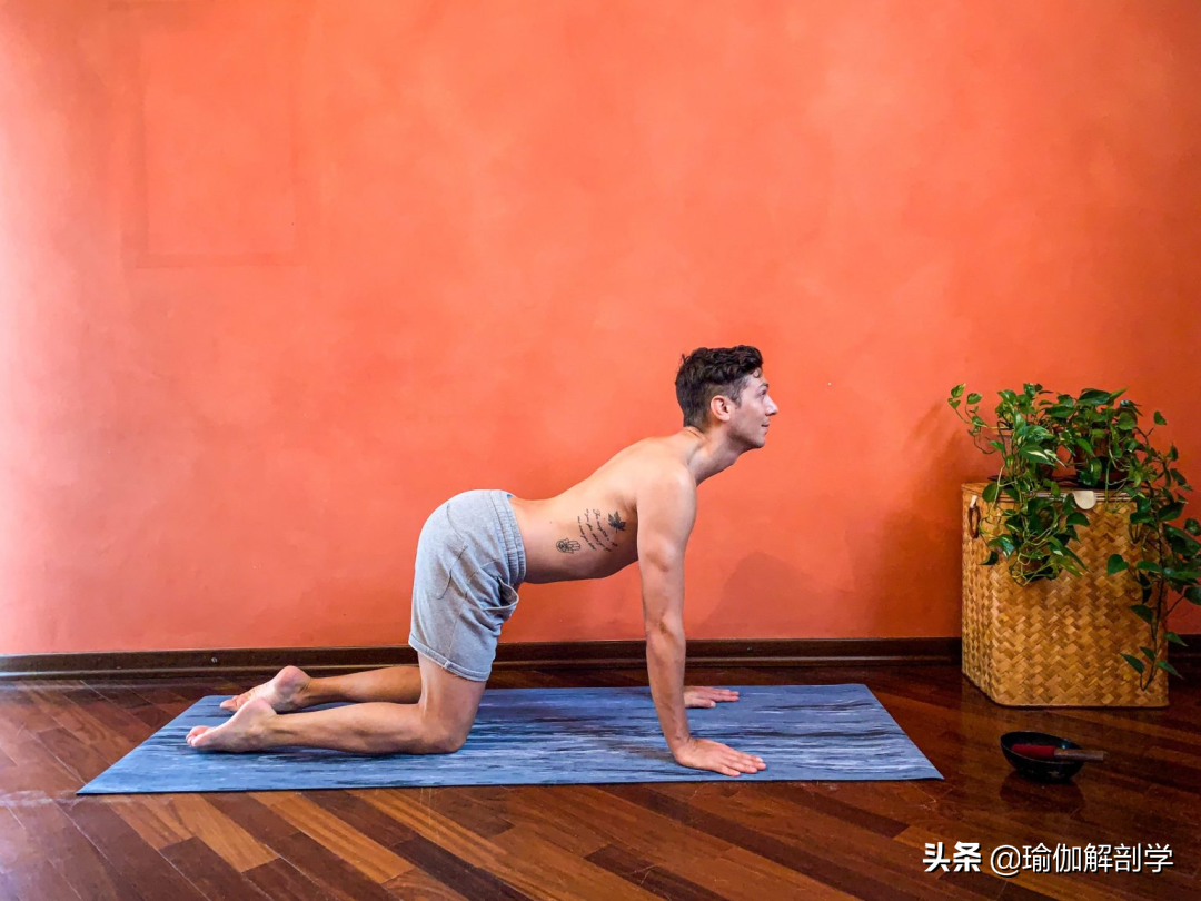 男士学瑜伽会不会尴尬，适合男性初学者的一套序列