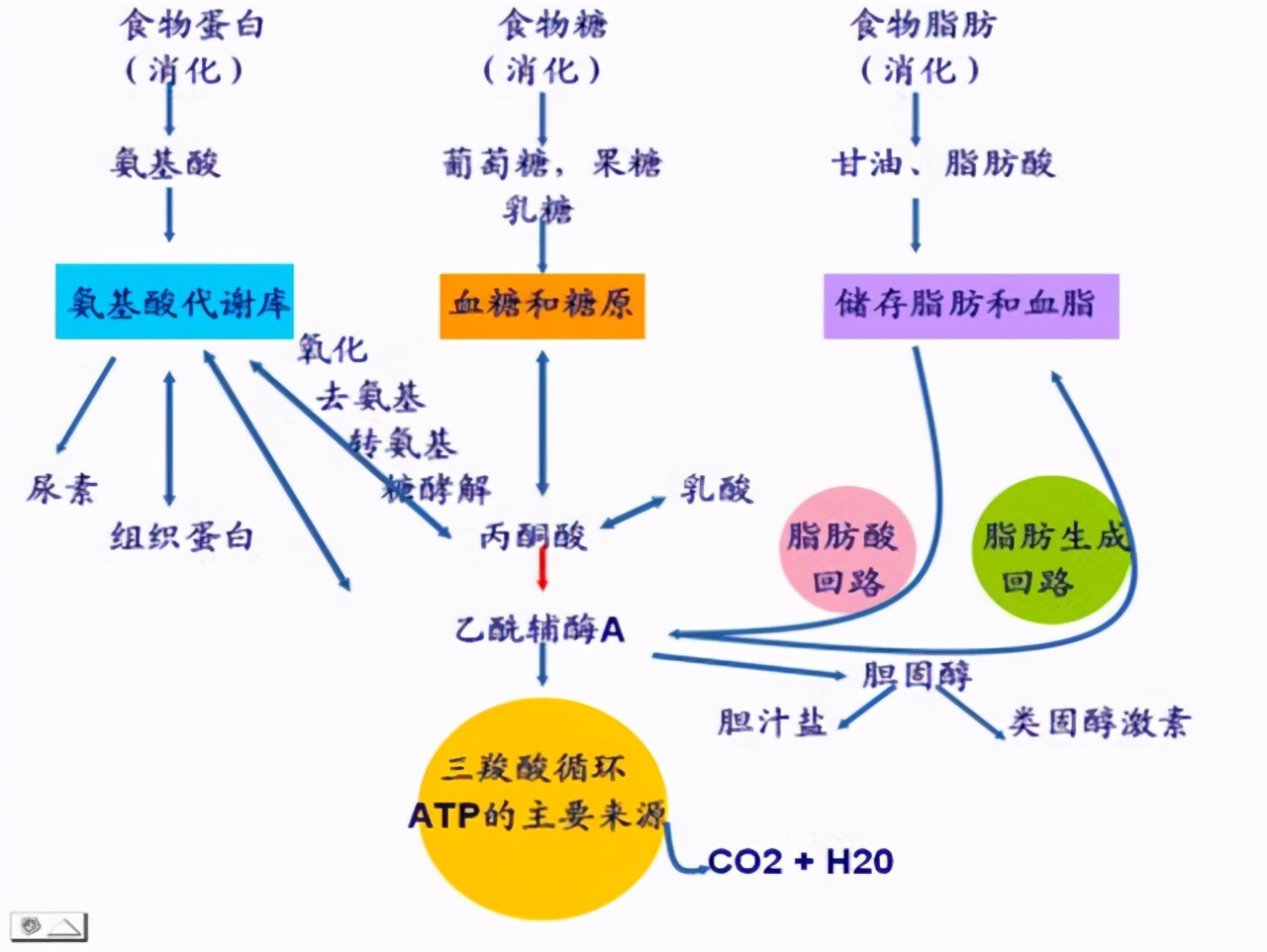 胆囊切除对身体有何影响？后遗症不好受，除非万不得已，别切