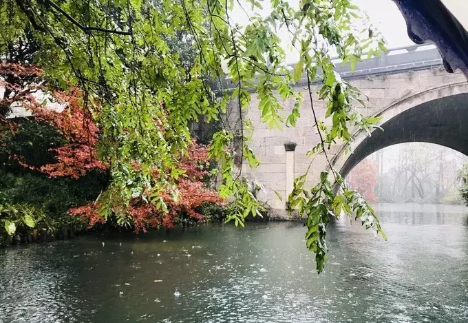 寻一处静谧，赶一场春雨