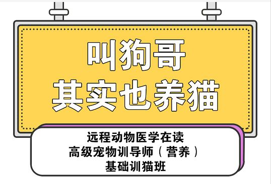 宠物食品标签规定实施，改日期，假洋牌，假天然粮都要倒霉了