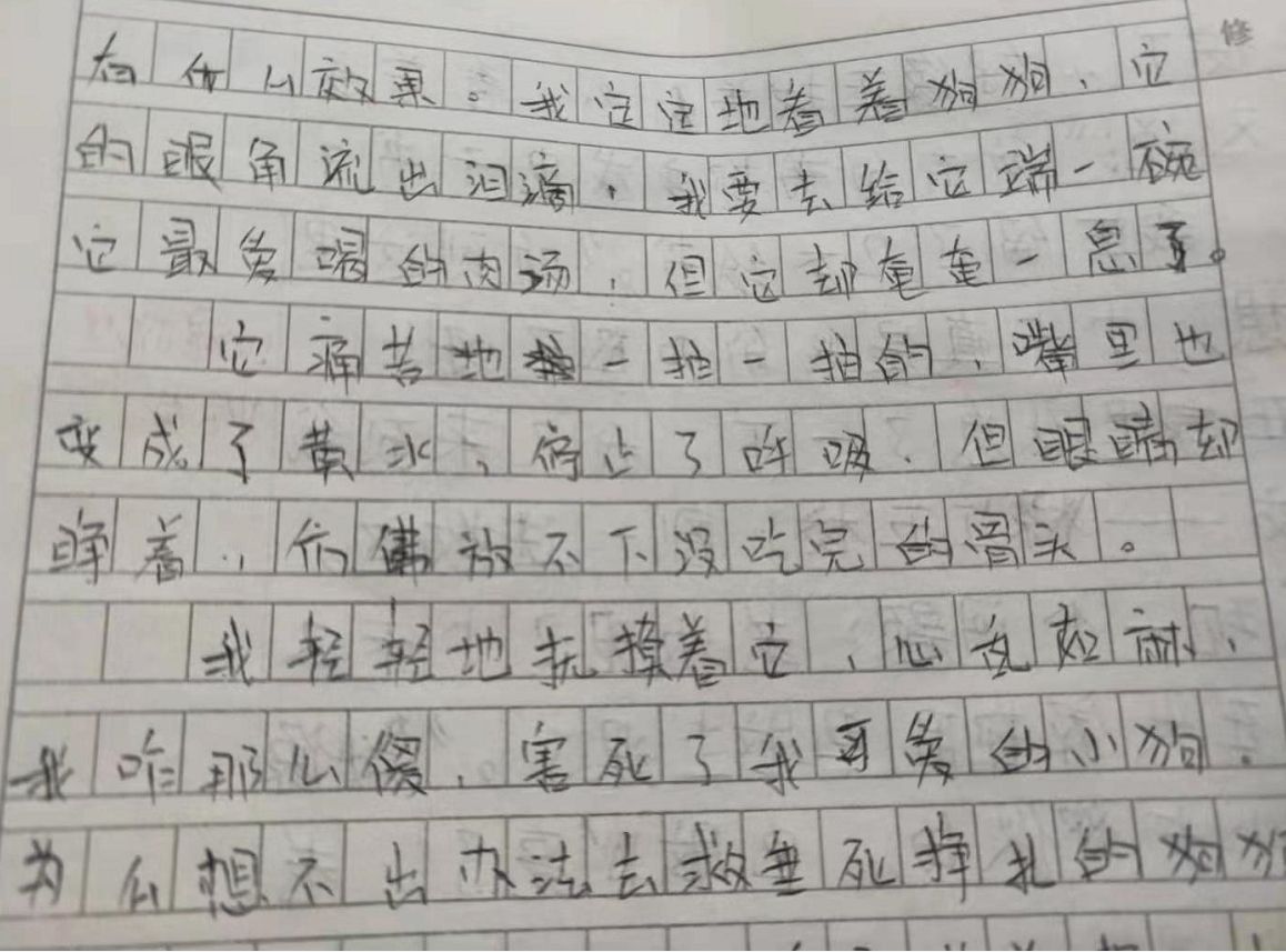小学生作文《我咋那么傻》走红，满满的辛酸，老师看后流下了眼泪