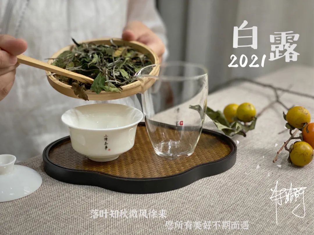 7年陈的老寿眉白茶，一饼只要50元，还有这种好事？