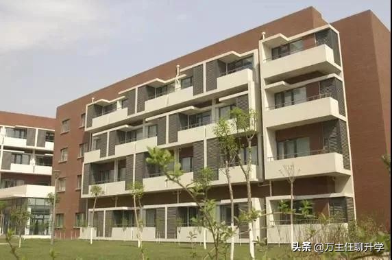 天津小升初全市招生系列—耀华滨海及过去两年中考成绩介绍