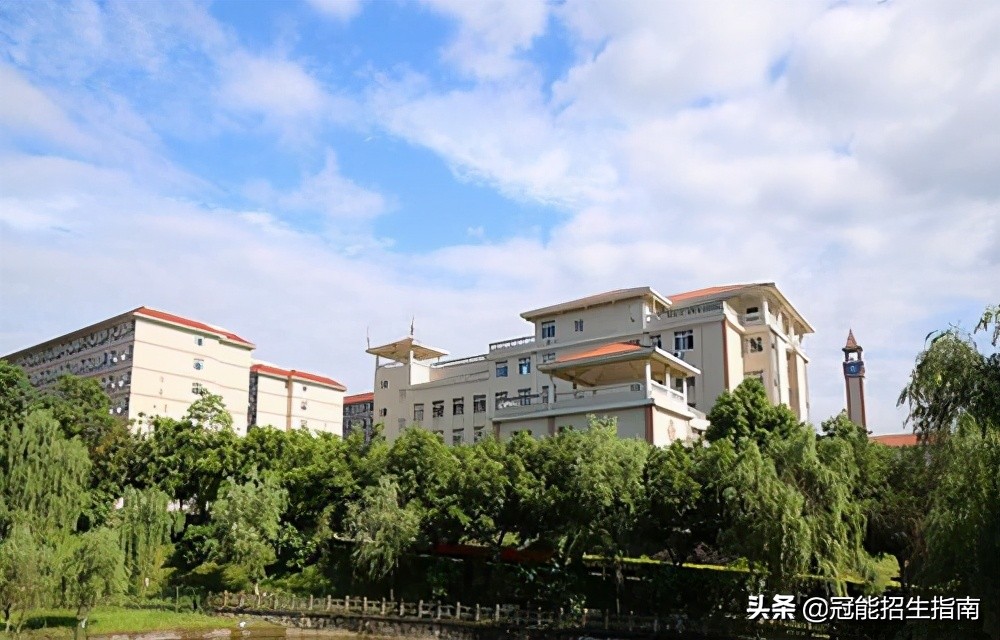 成都公办职业学校（成都公办的护理学校有哪些）