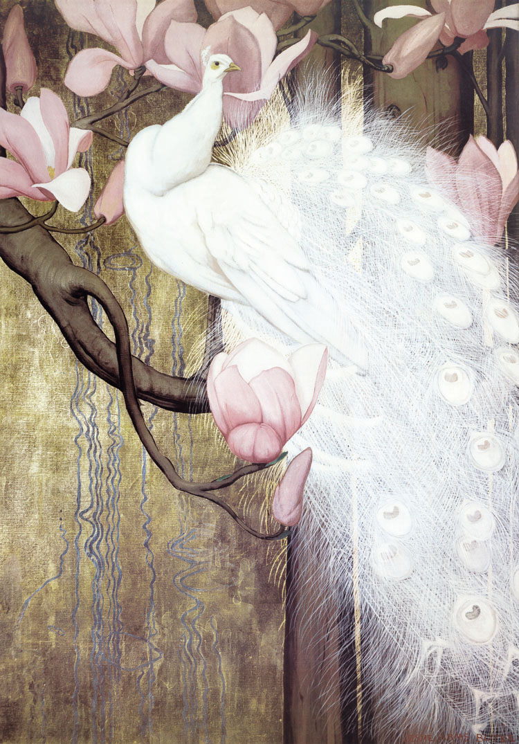 高贵,冷艳的白孔雀