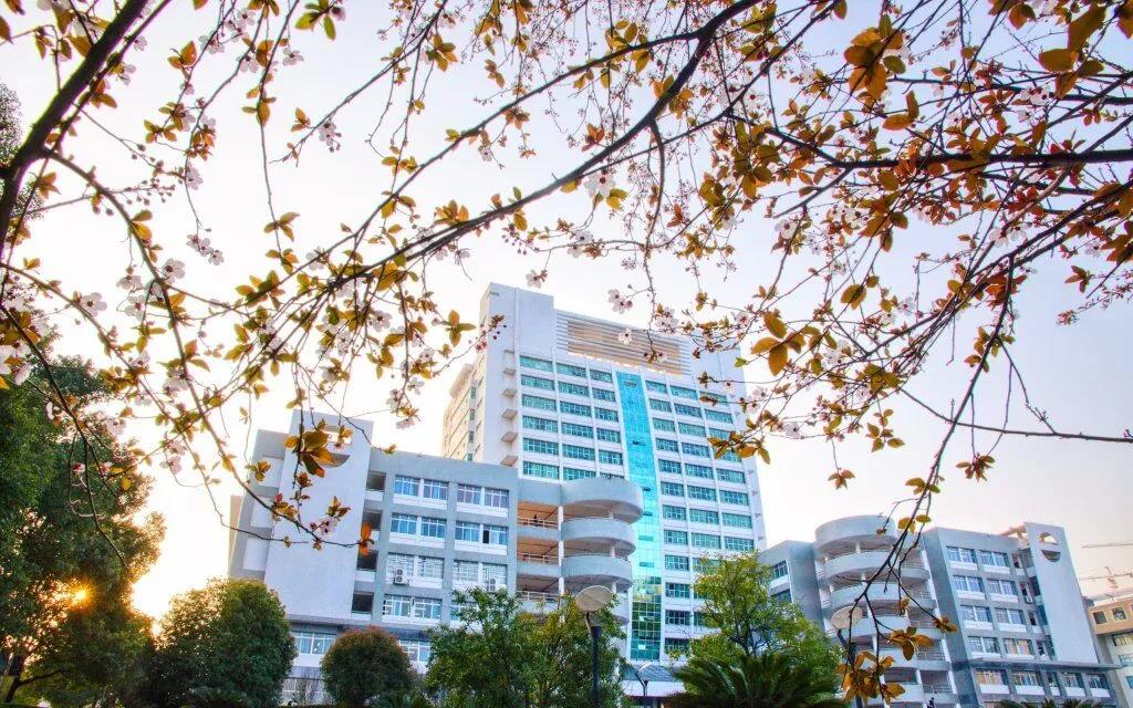 走出蛟龙号设计师、世界五百强总裁，创下多个第一，南华大学超火