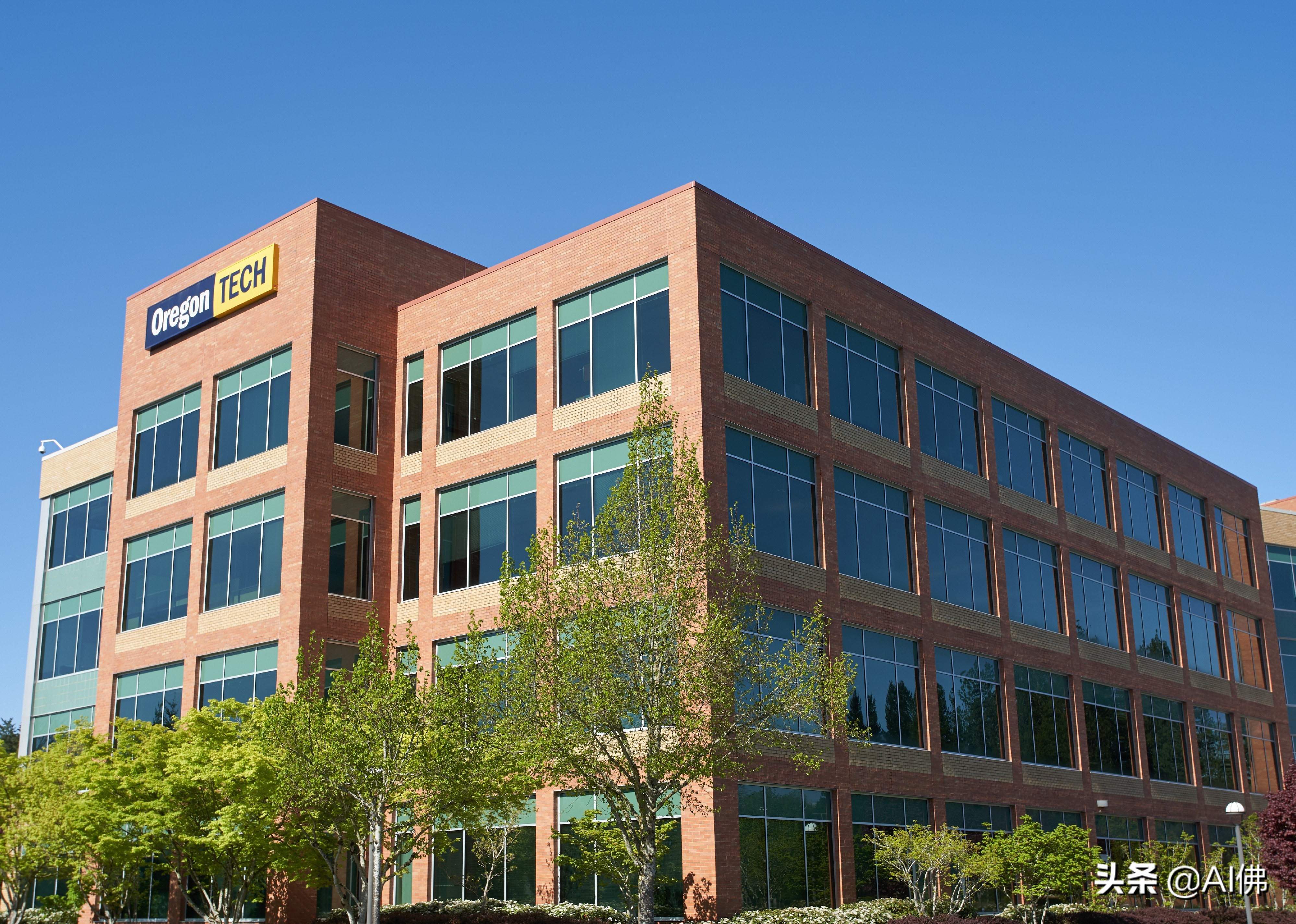 美国每个州ROI最高的公立大学